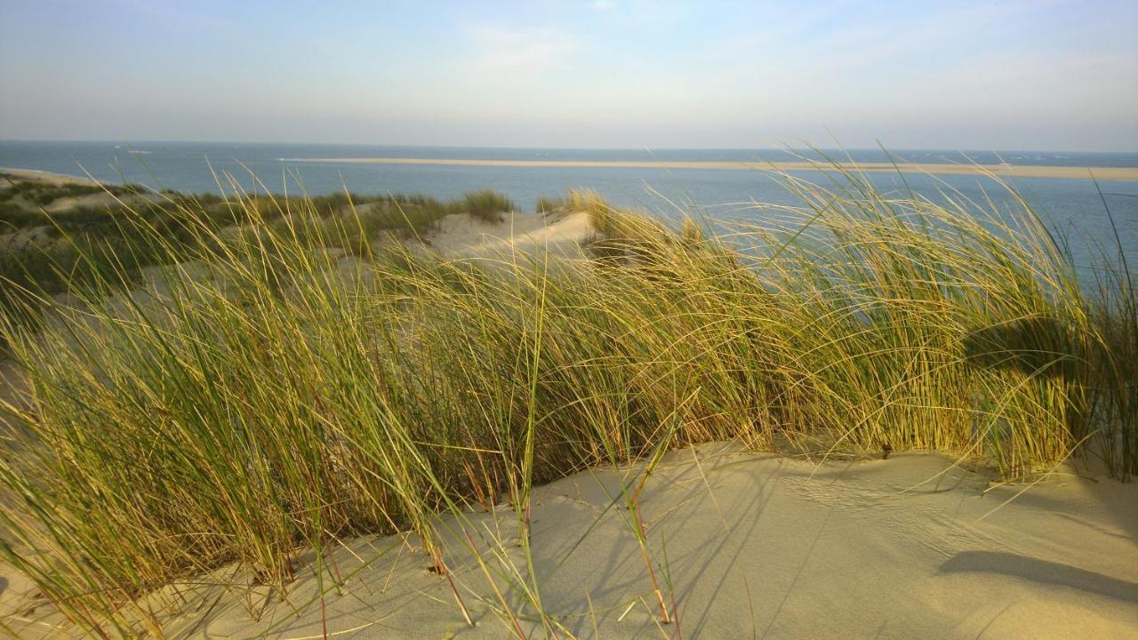 cottage la dune avec piscine Gujan-Mestras Extérieur photo